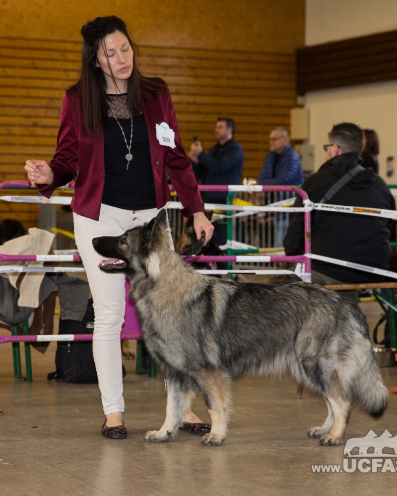 X73A4907.redimensionne