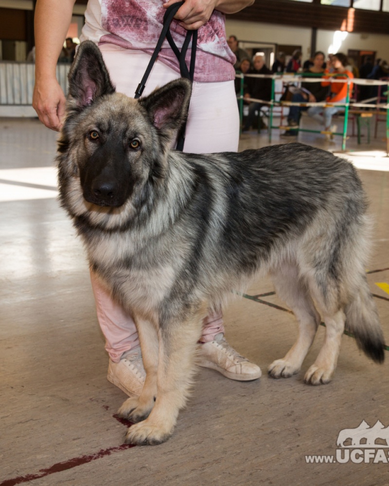 X73A5069.redimensionne