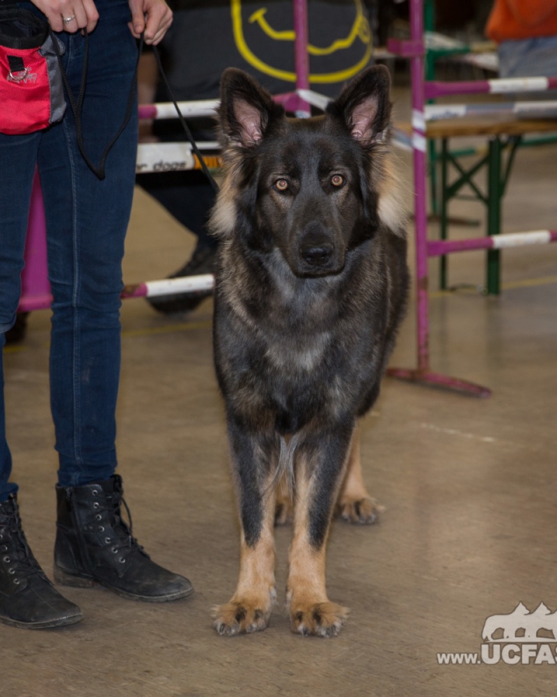 X73A5253.redimensionne
