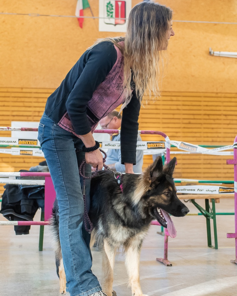 _DSC3819.redimensionne
