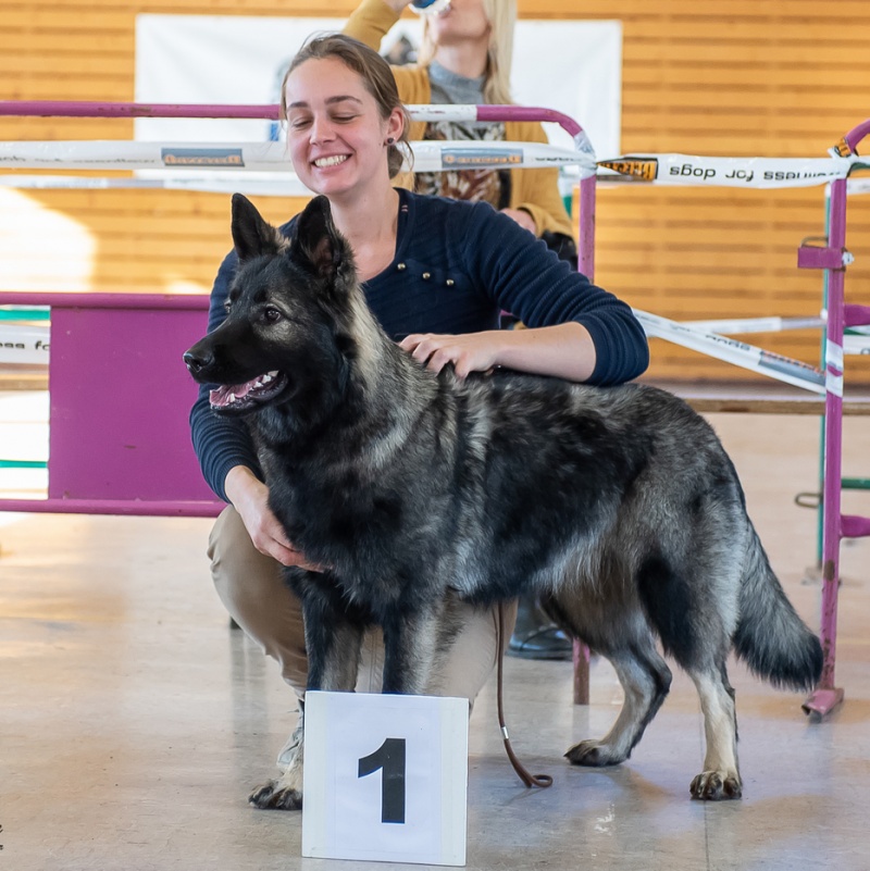 _DSC3877.redimensionne