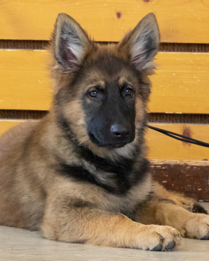C13A7969.redimensionne