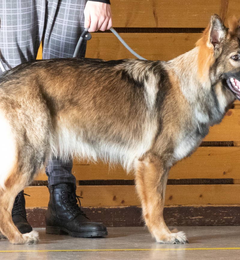 C13A8037.redimensionne