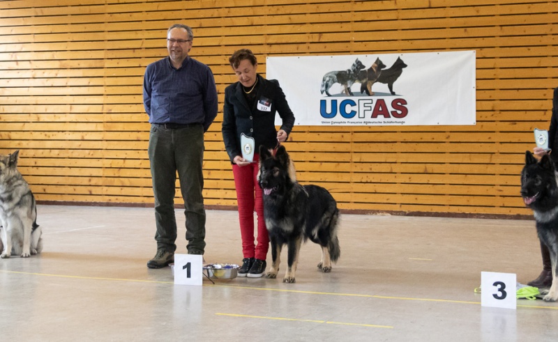 C13A8222.redimensionne