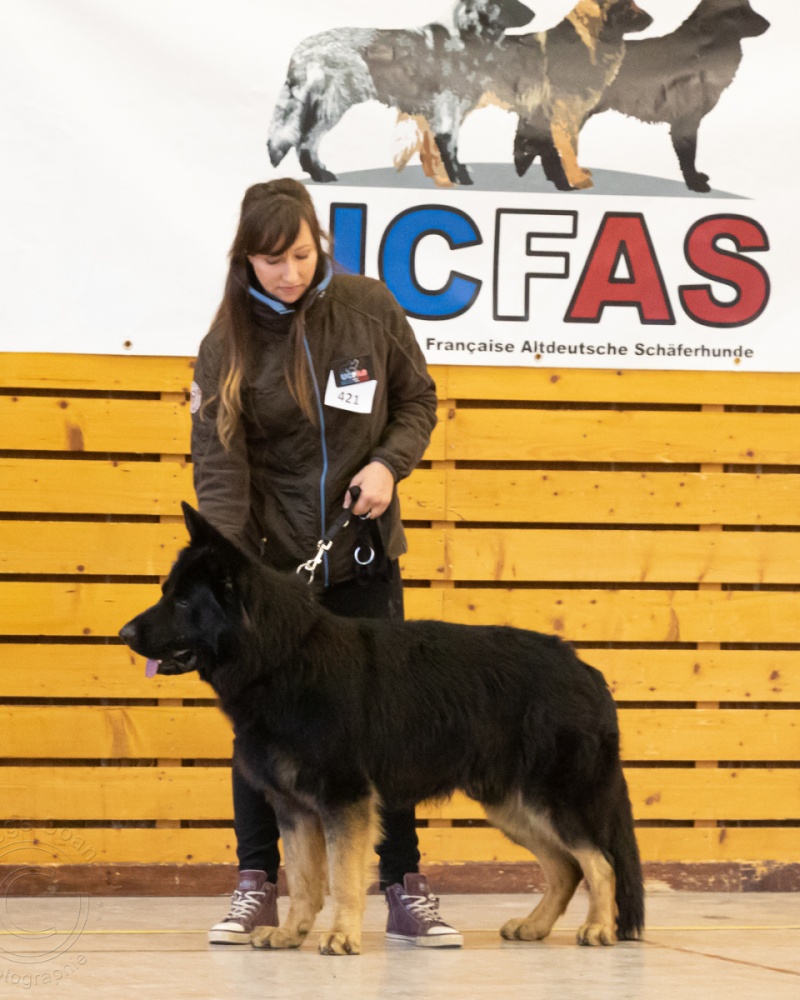 C13A8417.redimensionne