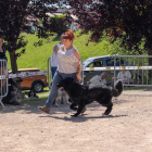 8U8A7230 copie