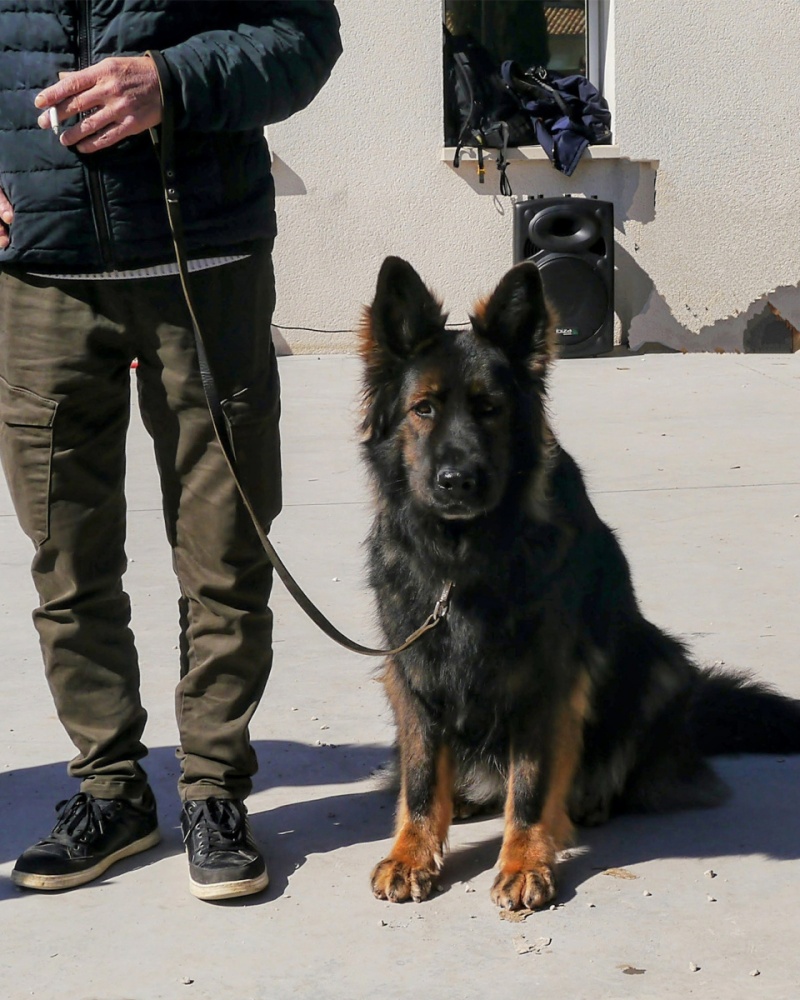 P1190503~3