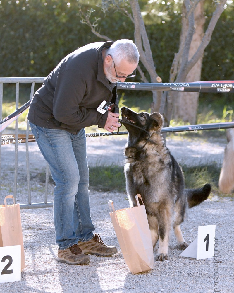 DSC_7174