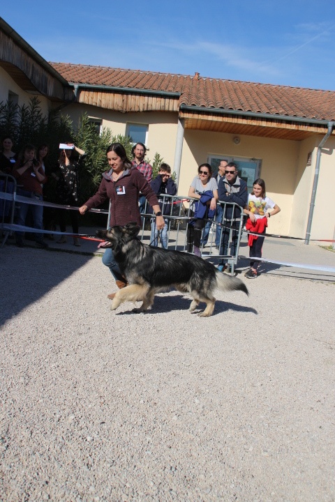 IMG_6045
