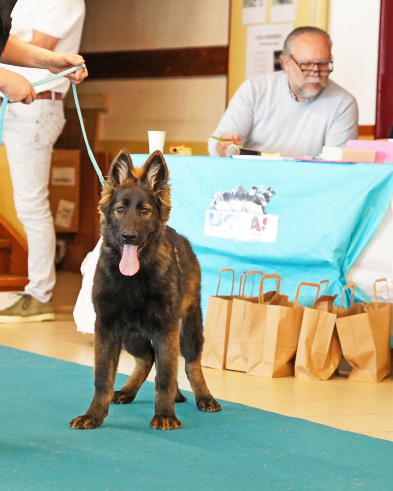 DSC01765 copie