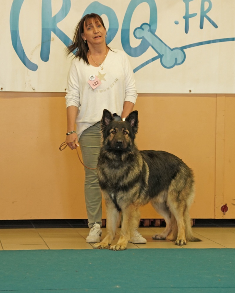 DSC02252 copie