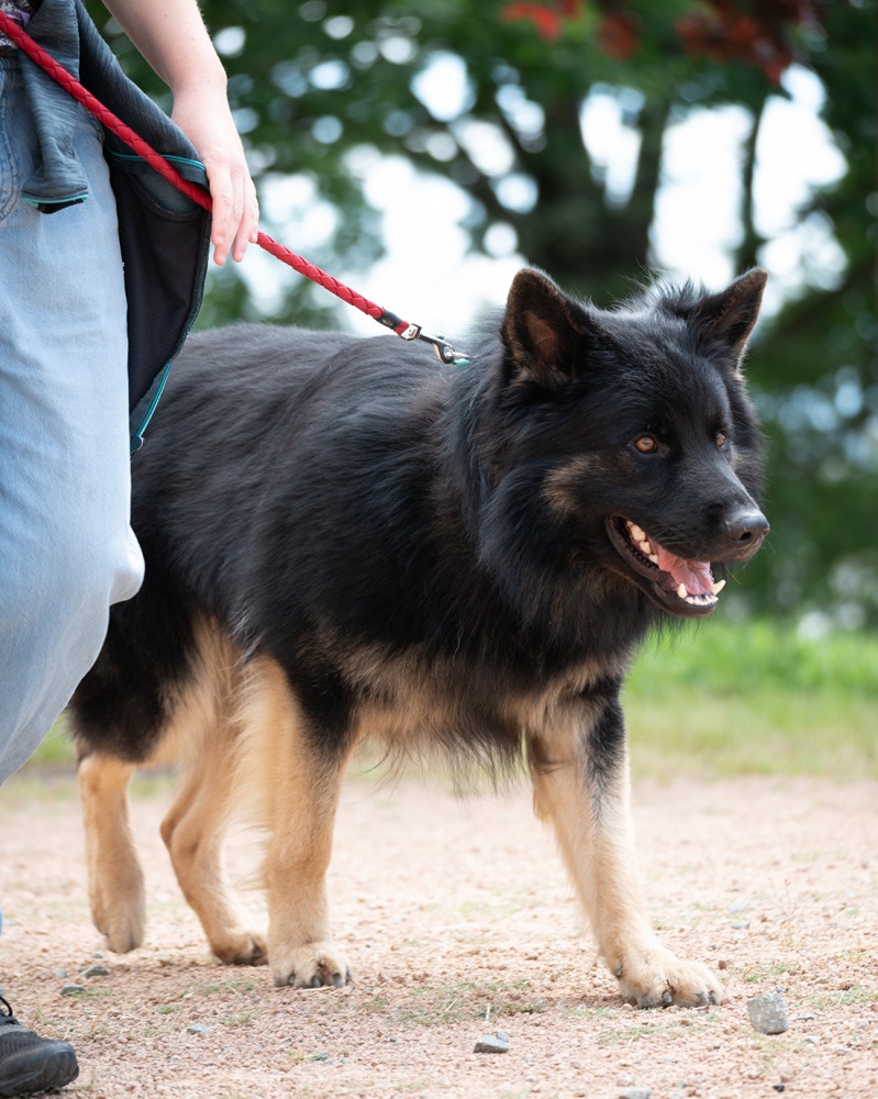 LAP_1321 copie