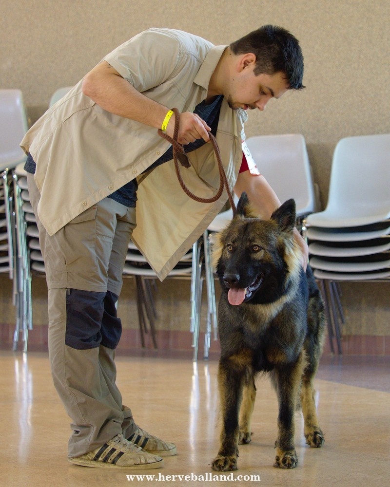20170410_HBL0179