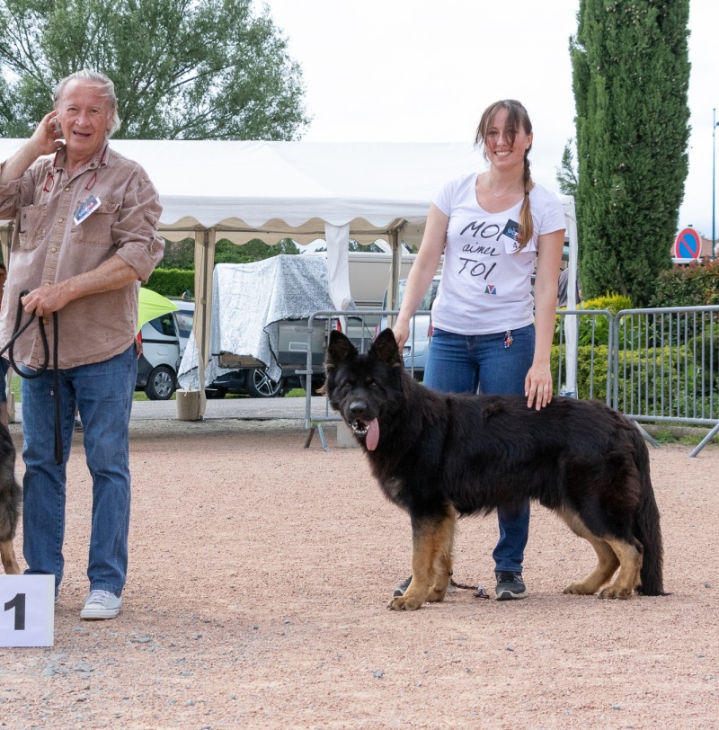 C13A2241