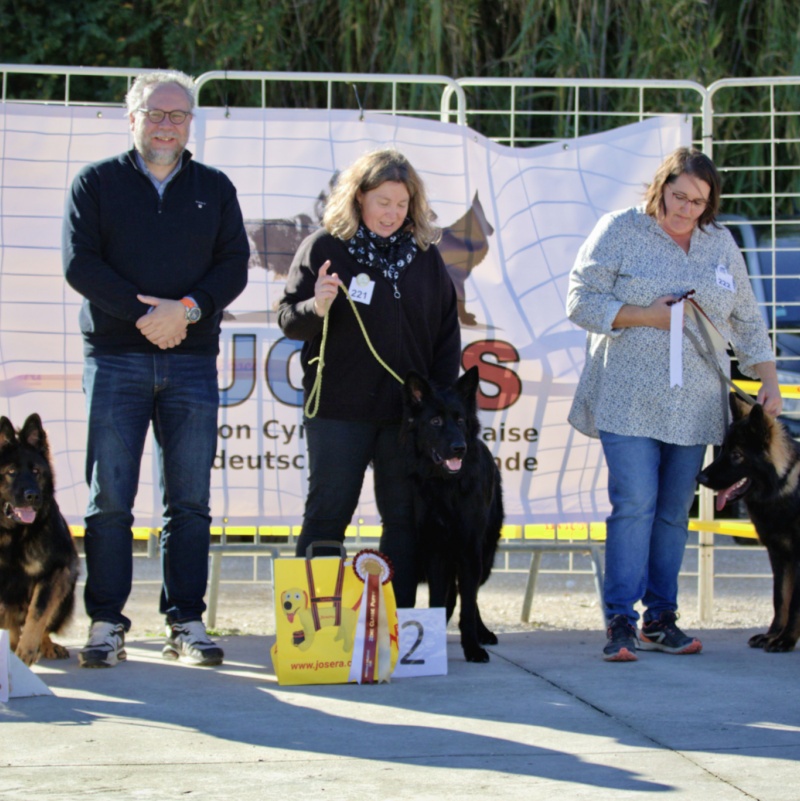 PodiumPuppyMale