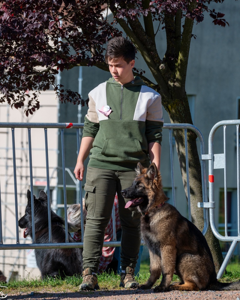 LAP_0335 copie