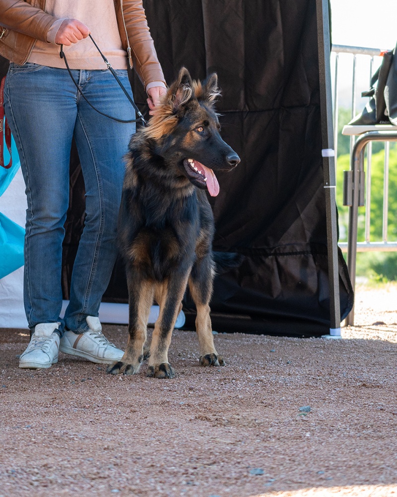 LAP_0341 copie