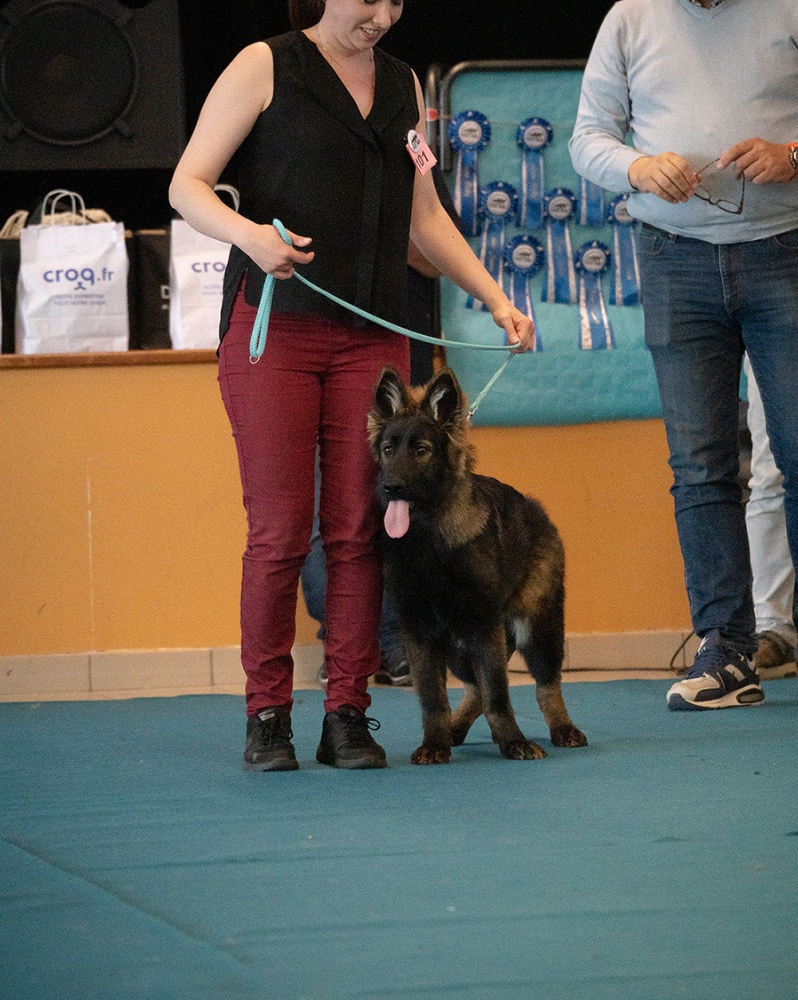 LAP_0353 copie