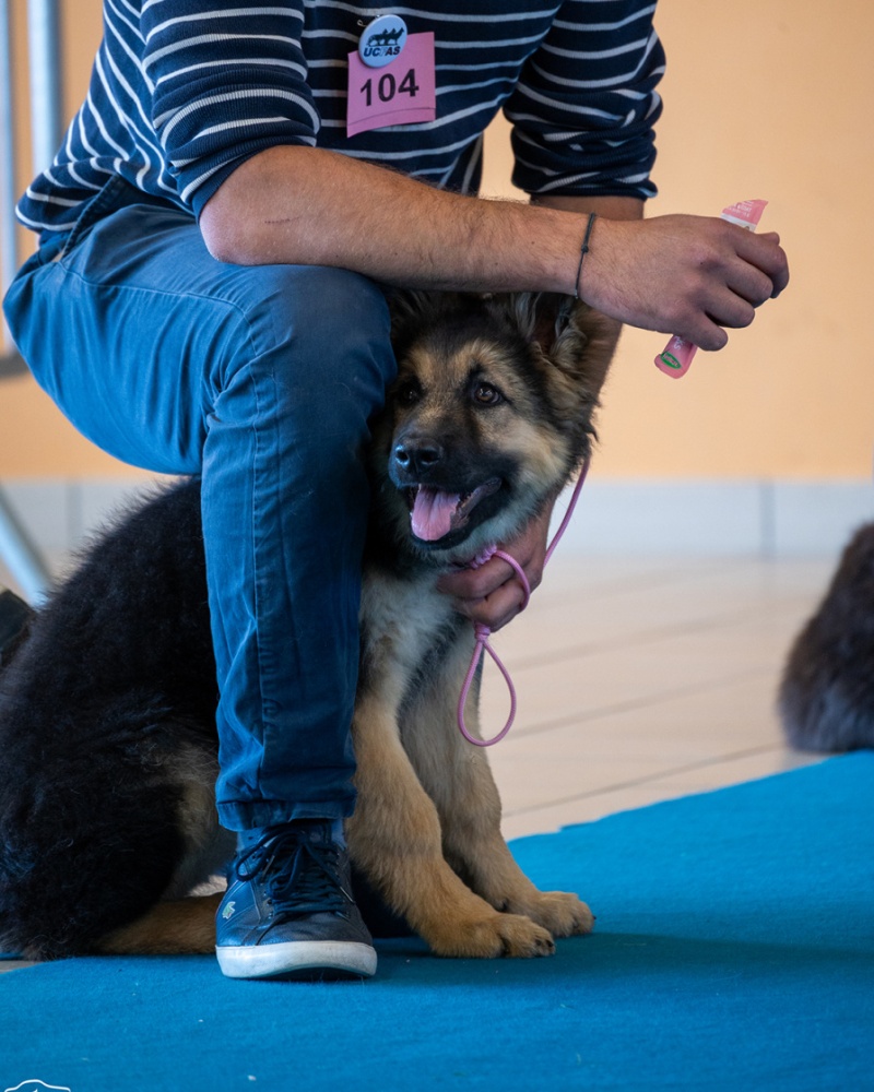 LAP_0361 copie