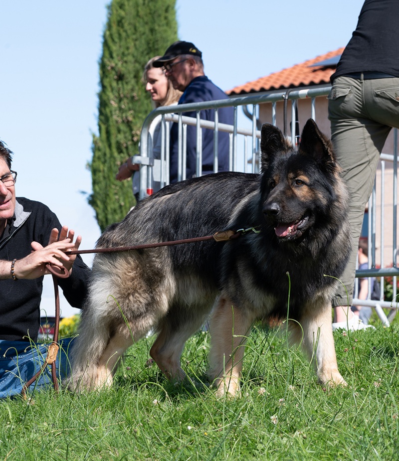 LAP_0404 copie