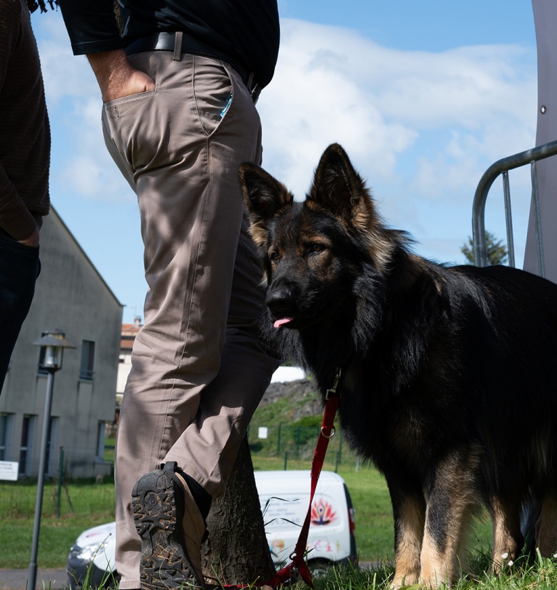 LAP_0423 copie