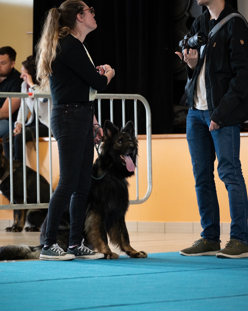 LAP_0491 copie