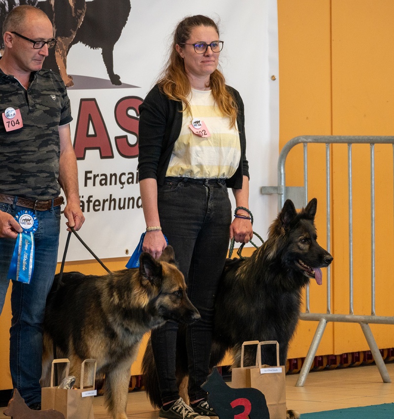 LAP_0538 copie