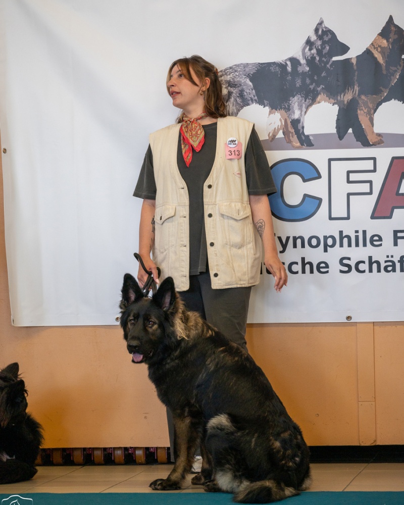 LAP_0551 copie
