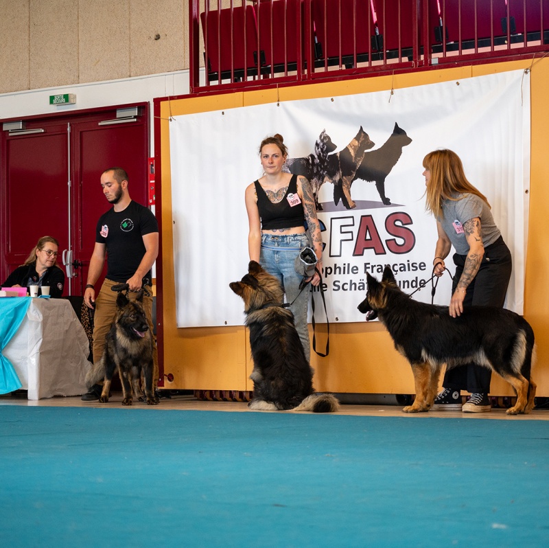 LAP_0561 copie