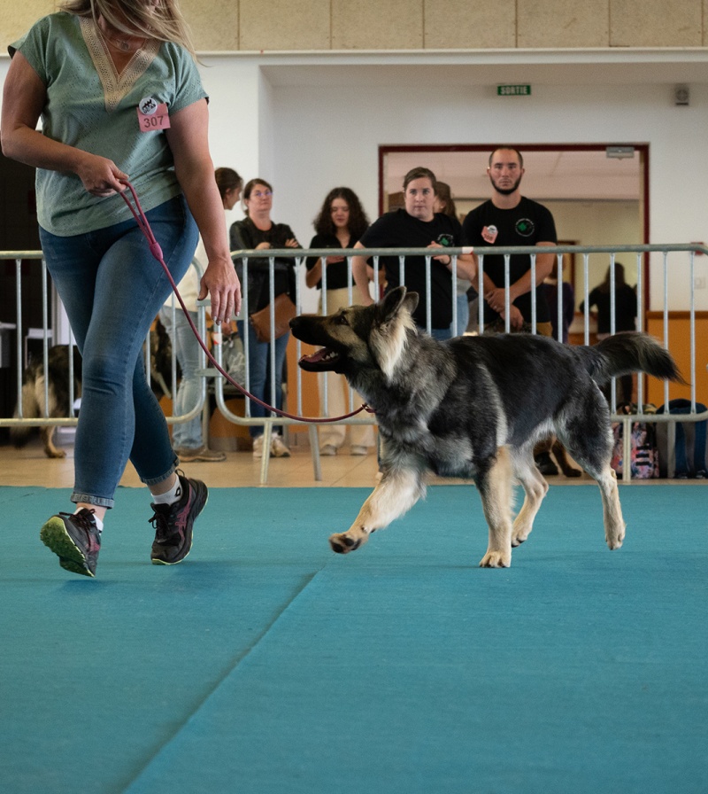 LAP_0679 copie