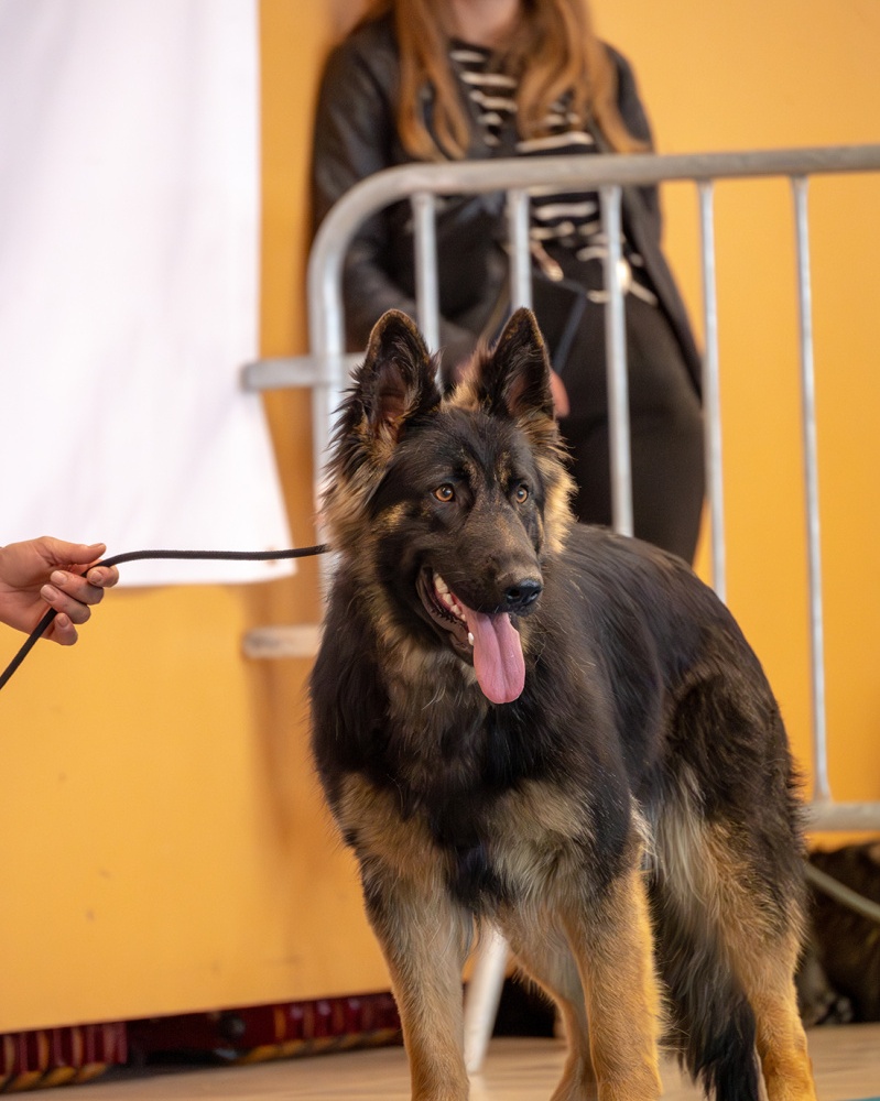 LAP_0753-Avec accentuation-Bruit copie