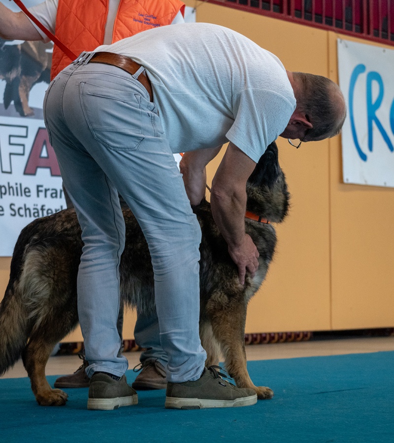LAP_0756 copie
