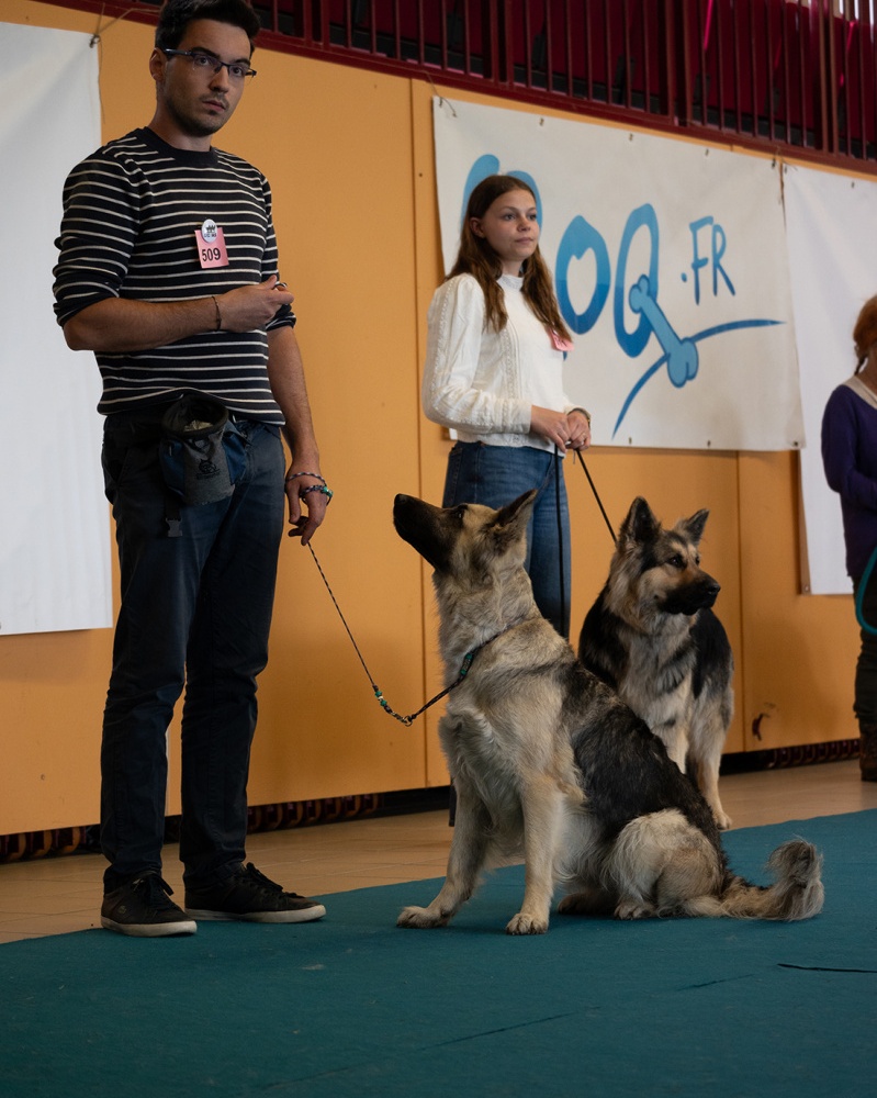 LAP_0905 copie