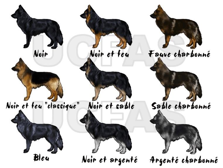 Nuancier des couleurs de robe