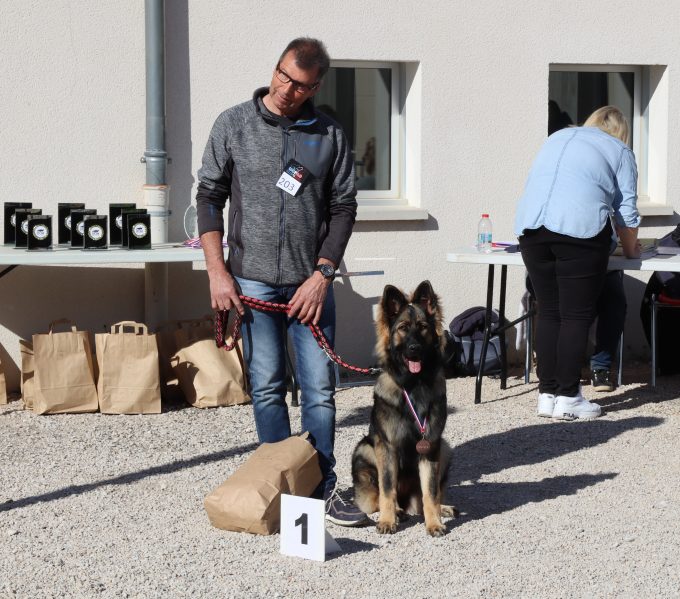 Classe Puppy Femelles