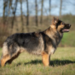 1eef0c09-8b91-4b08-819d-5132b644b78e