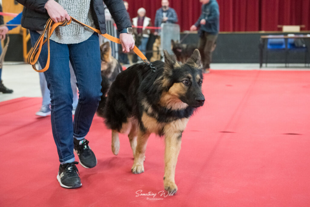 20230304_NE-Mouroux_2048_1.res