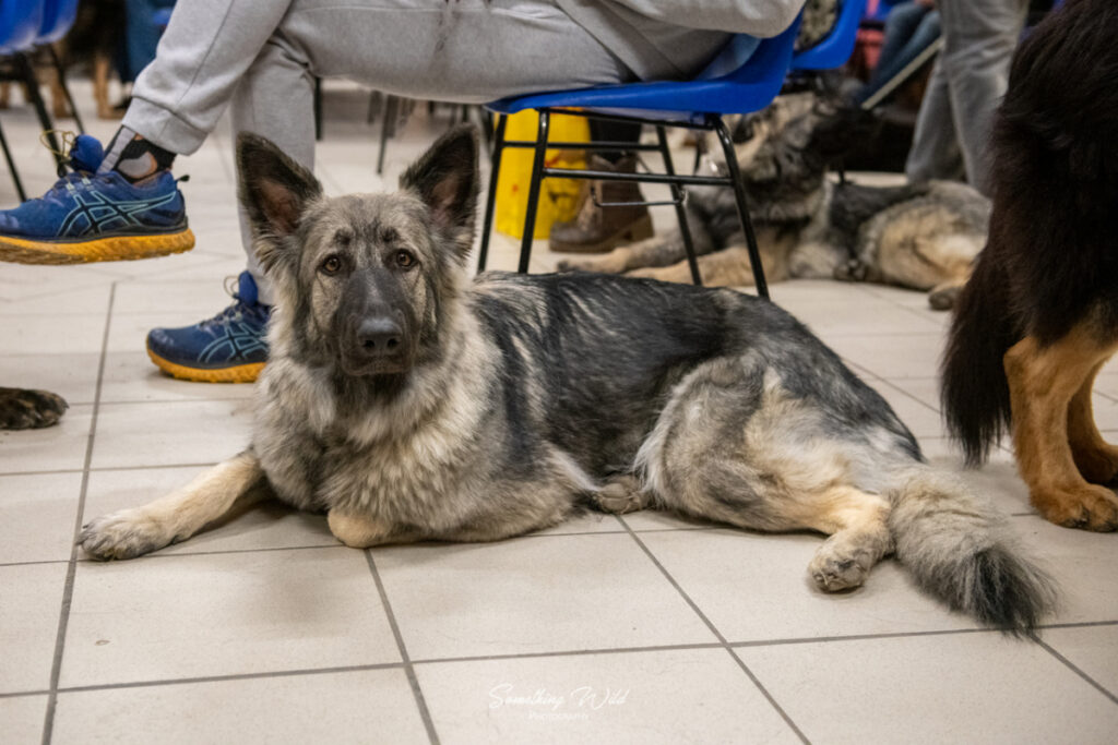 20230304_NE-Mouroux_2048_10.res