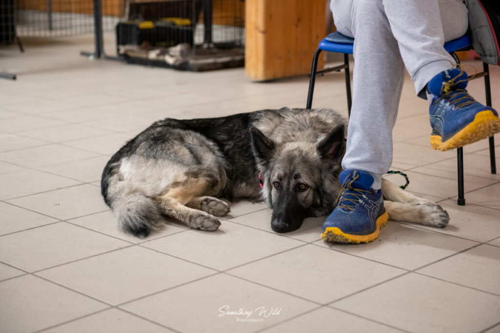 20230304_NE-Mouroux_2048_101.res
