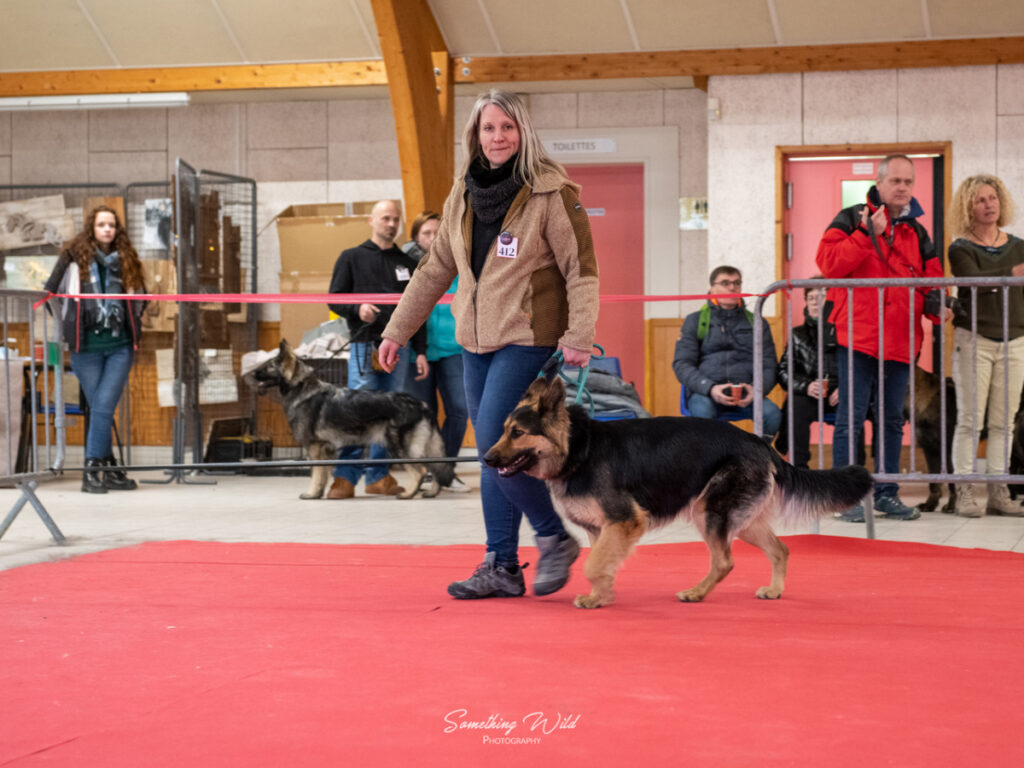 20230304_NE-Mouroux_2048_103.res