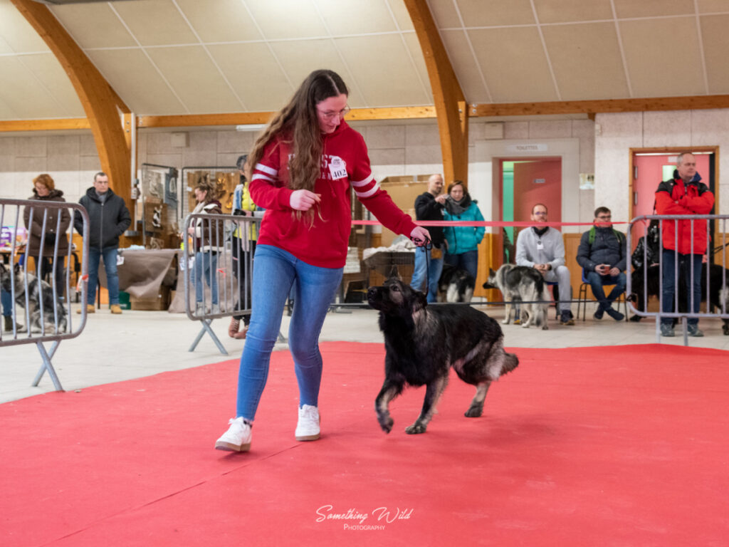 20230304_NE-Mouroux_2048_104.res
