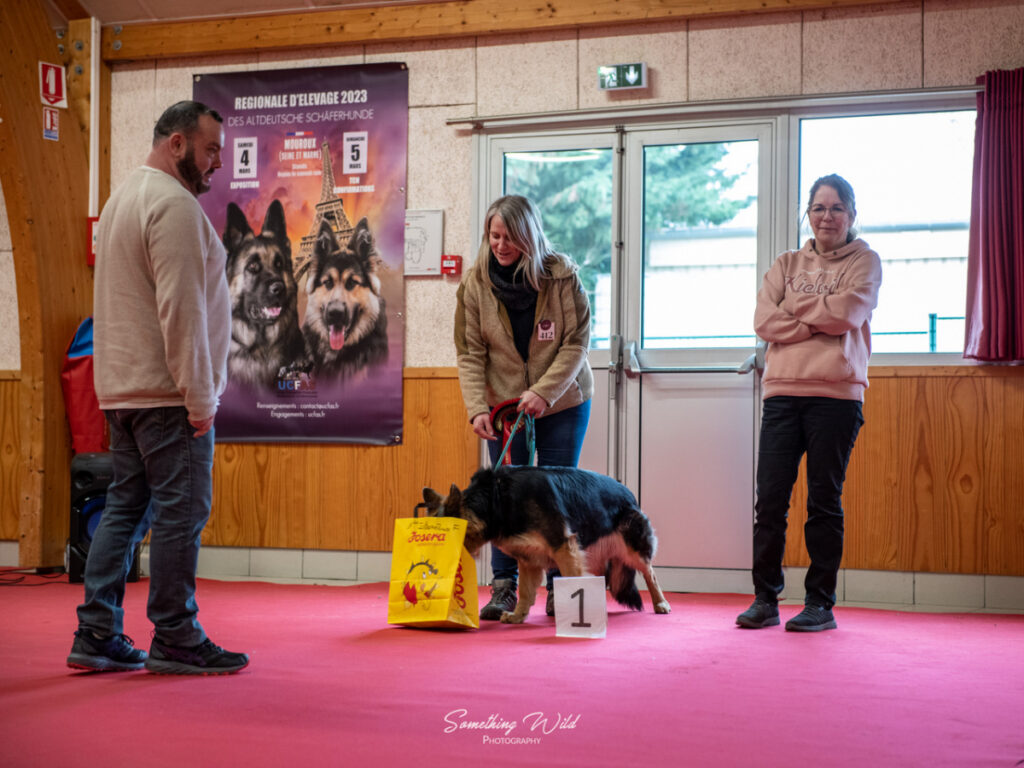 20230304_NE-Mouroux_2048_108.res