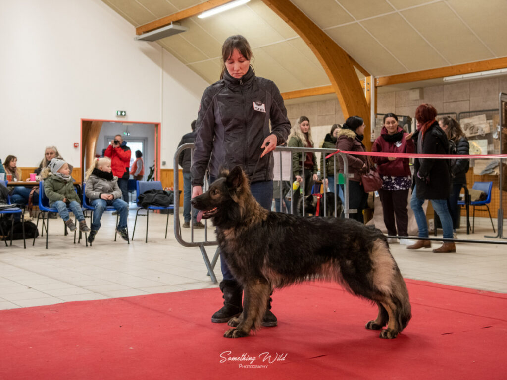 20230304_NE-Mouroux_2048_118.res