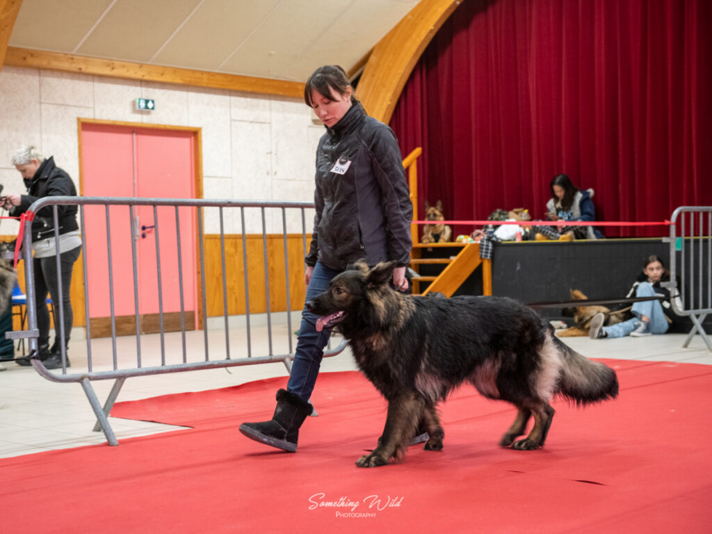 20230304_NE-Mouroux_2048_122.res