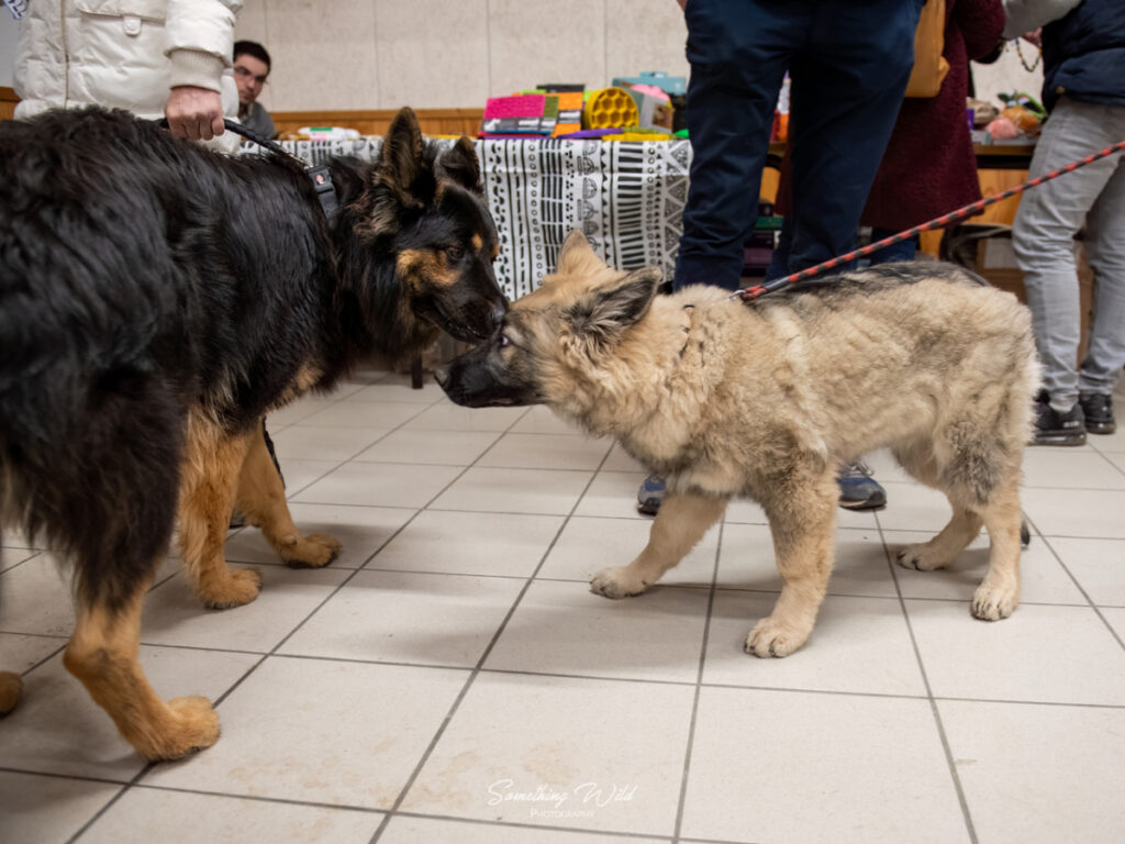 20230304_NE-Mouroux_2048_14.res