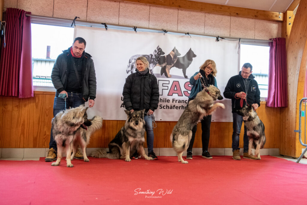 20230304_NE-Mouroux_2048_150.res