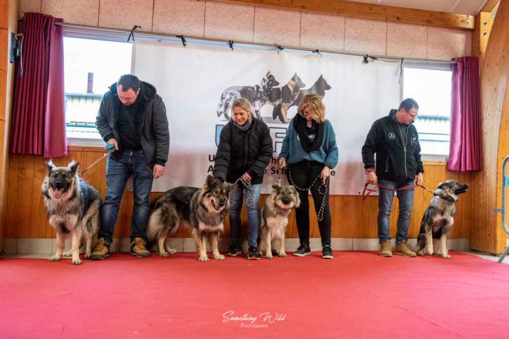 20230304_NE-Mouroux_2048_151.res