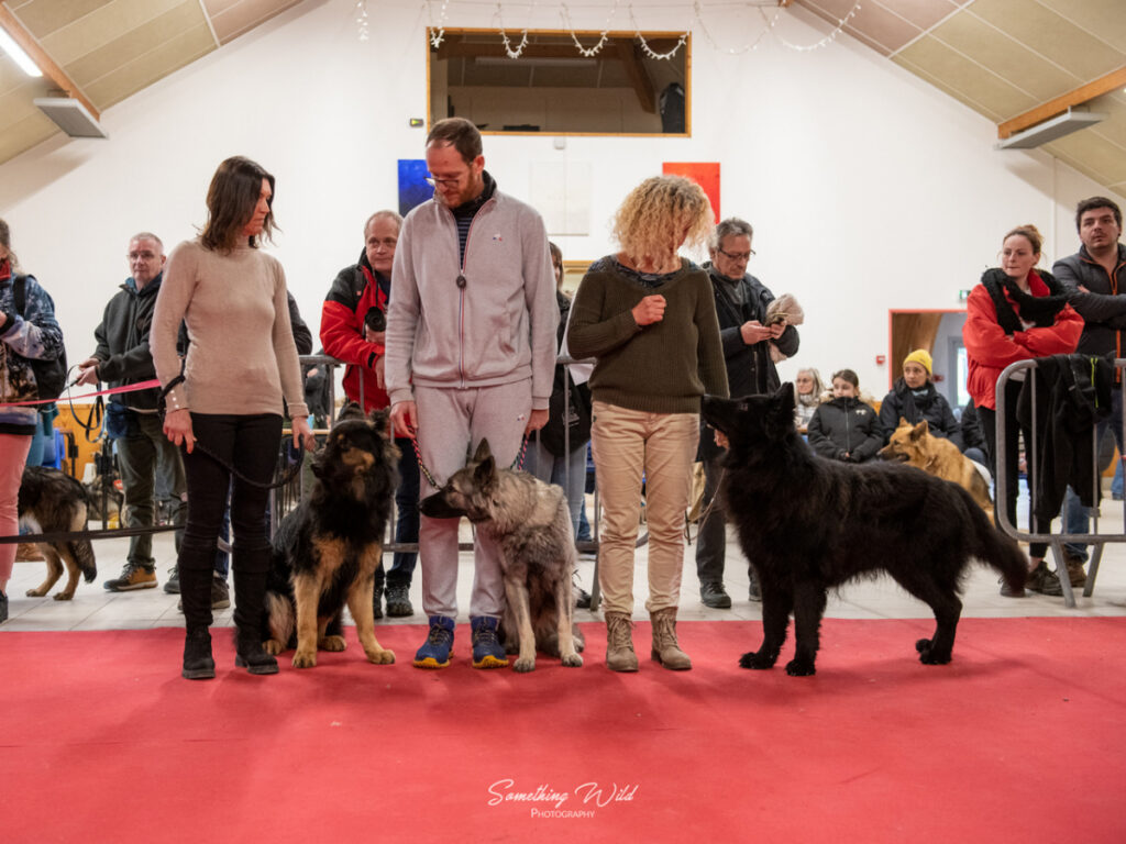 20230304_NE-Mouroux_2048_152.res