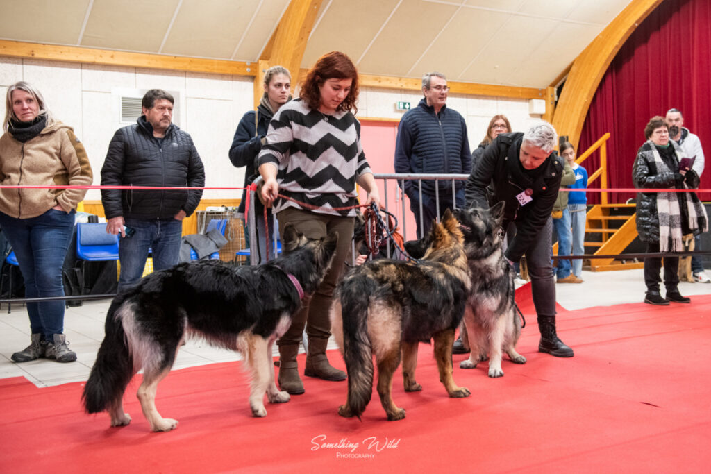 20230304_NE-Mouroux_2048_154.res