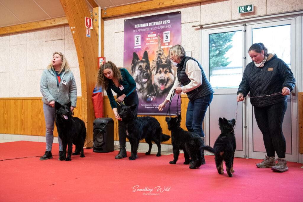 20230304_NE-Mouroux_2048_155.res
